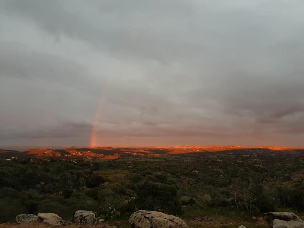 B&B Bell'alba Santa Teresa Gallura Exteriör bild